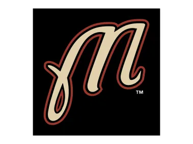 Martinsville Astros Logo