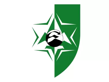 Modiin Depth IDF Logo