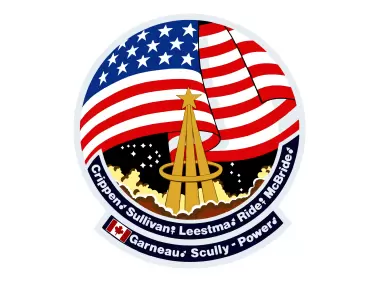 NASA STS-41G Mission Logo