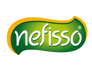 Nefisso Logo