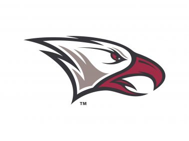North Carolina Central Eagles Logo