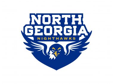 North Georgia Nighthawks Logo
