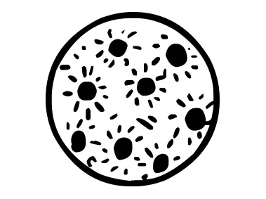 Planet Vector SVG Logo Template