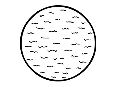 PNG Vector Planet Logo Template