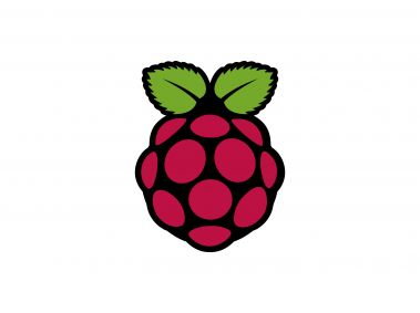 Rasberry Pi Logo