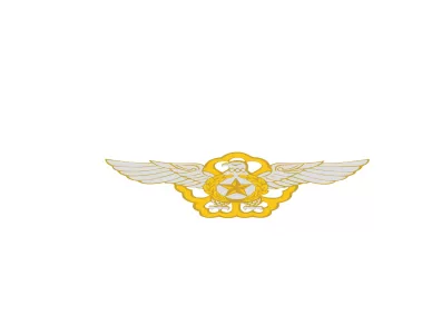 Republic of Korea Air Force Logo