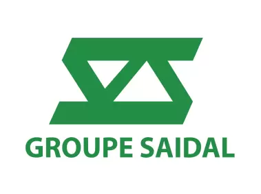Saidal Group Wordmark Logo