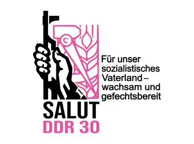 SALUT DDR 30 Logo