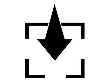 Solid Download Arrow in Box Icon