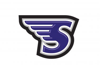 Stonehill Skyhawks Logo