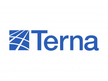 Terna Group Logo