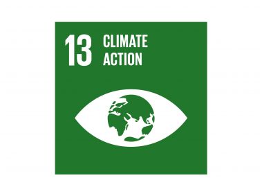 The Global Goals Climate Action Logo