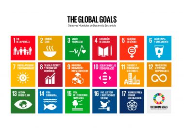 The Global Goals Icon Grid Spanish Logo