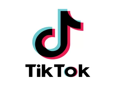 Tiktok Icon White Logo