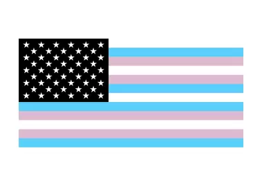 Trans America Logo