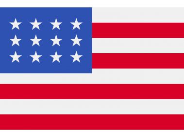 USA Flag Logo