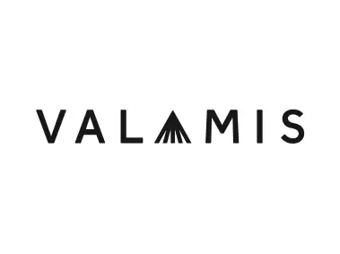 Valamis Logo