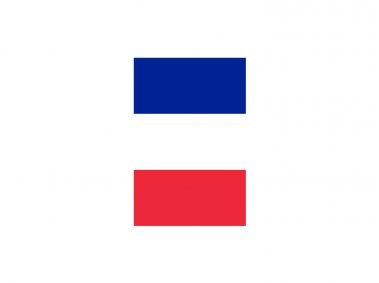 Vertical Flag of France Logo