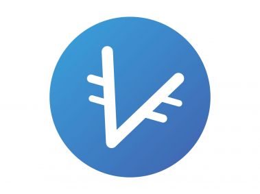 Viscoin Logo