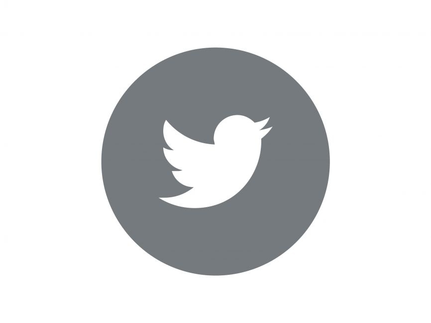 Twitter Grey Logo