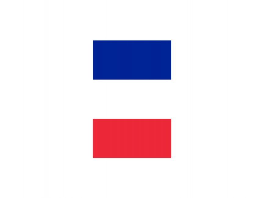 Vertical Flag of France Logo